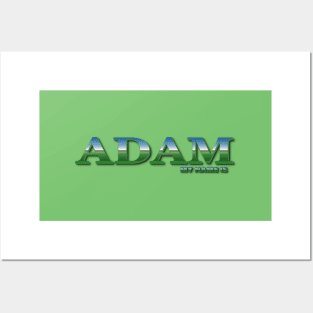 ADAM. MY NAME IS ADAM. SAMER BRASIL Posters and Art